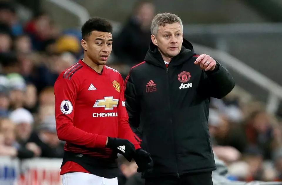 的强大竞争 的强大竞争